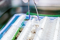 lens cleaning