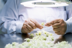 wolfram-Schroll_industriefotograf_medizin_059