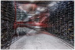 Wolfram-Schroll_TS062205-scaled