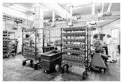 Nr23_2010_Wolfram-Schroll_WORK_xs_
